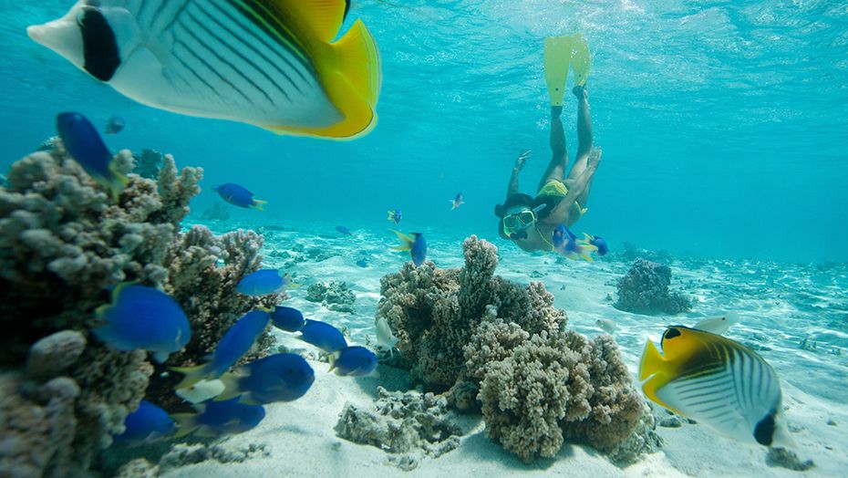 6.8 Find family holiday bliss in the Caribbean_930x524px_IMAGE-3 (1).jpg