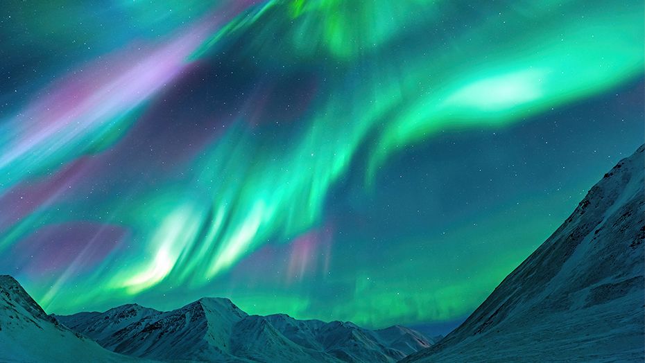Northern lights with Ambassador