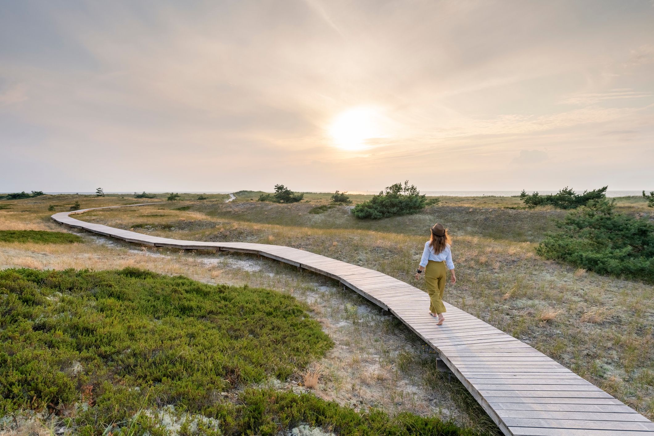 Baltic coast in germany