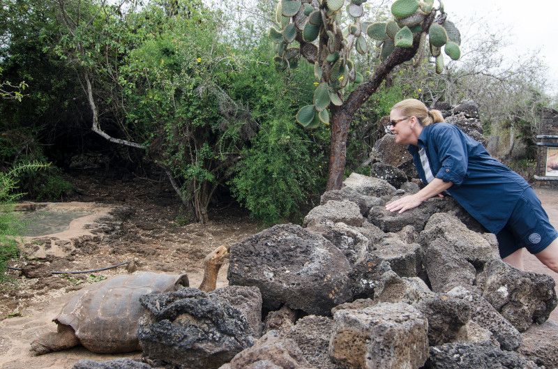 CEL_Galapagos_Tortoise_7.jpg