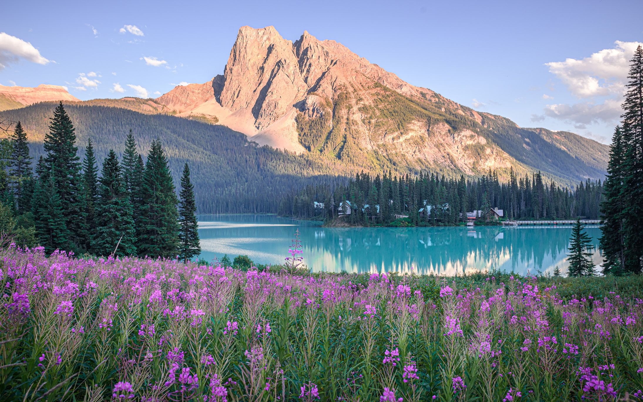 Canada flowers