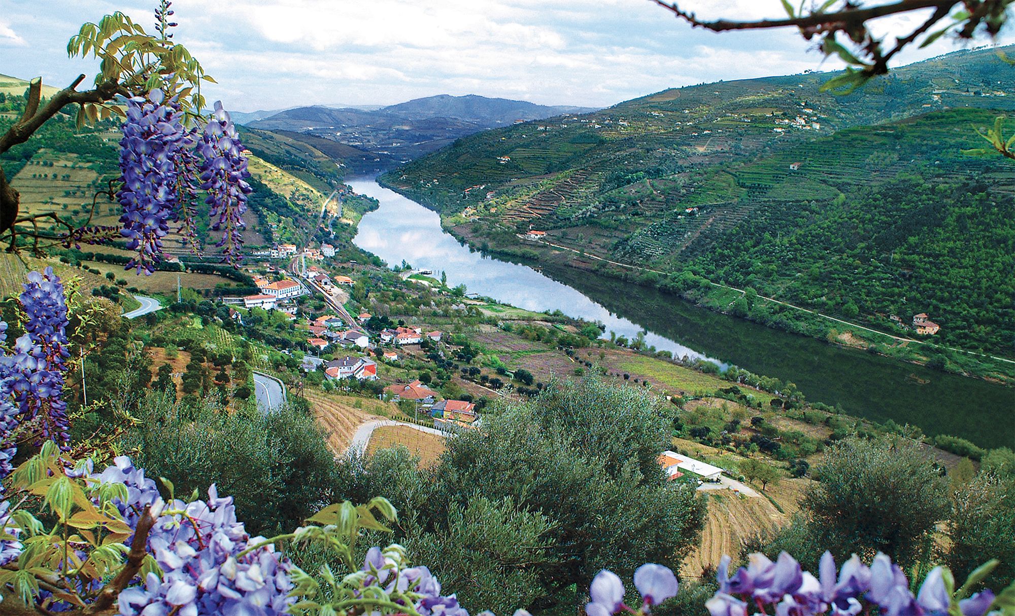 DOURO_PT_DouroRiverValley.jpg