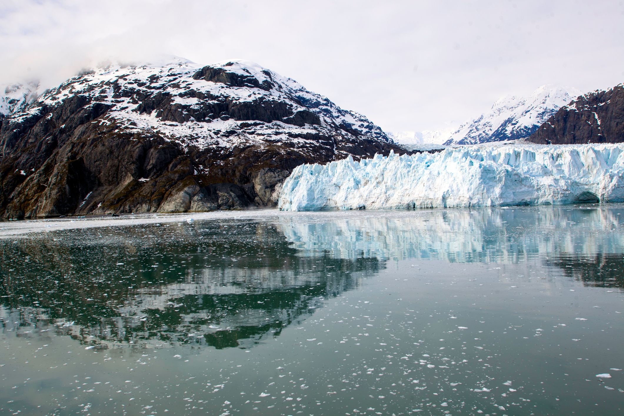 Glaciar bay alaska