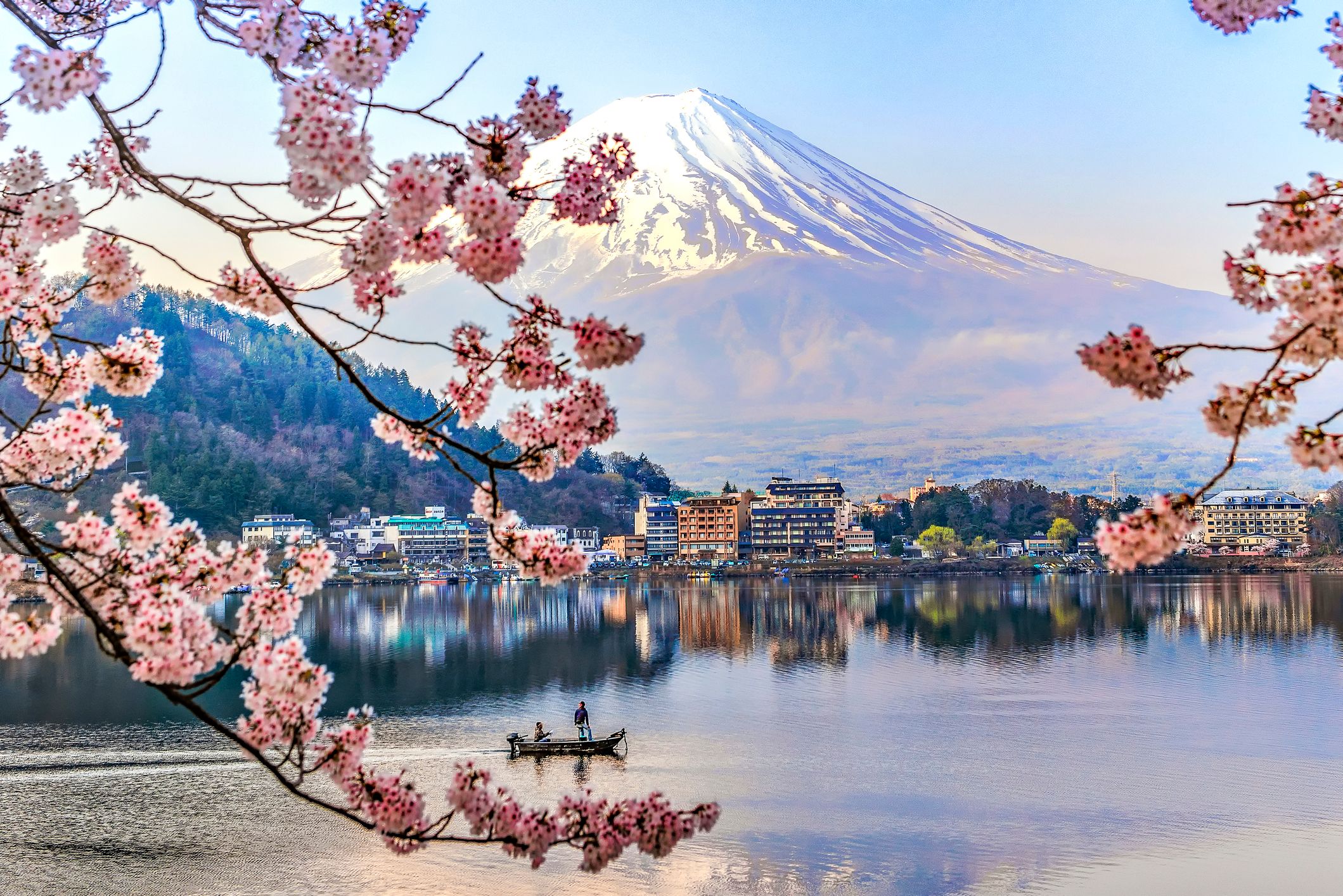 Japan flowers