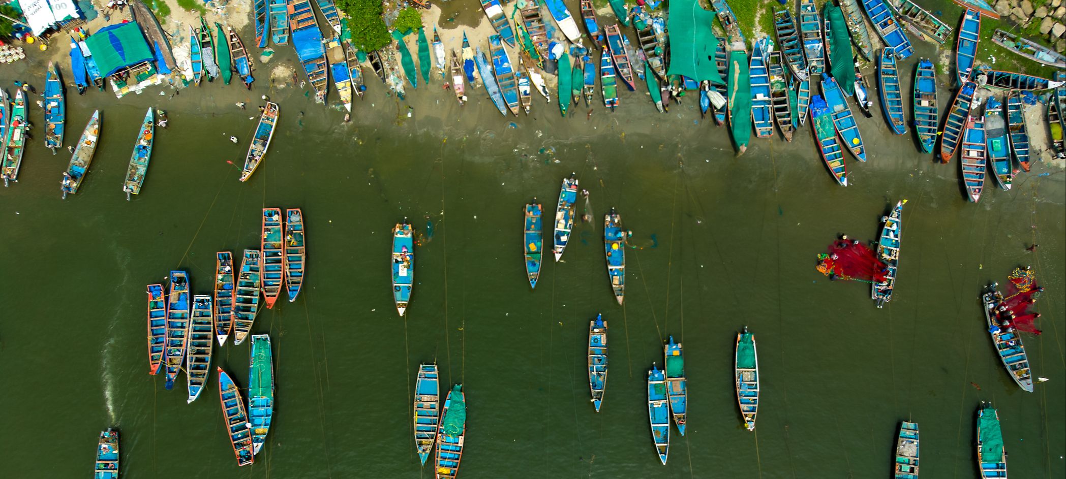 Kochi (Cochin) India