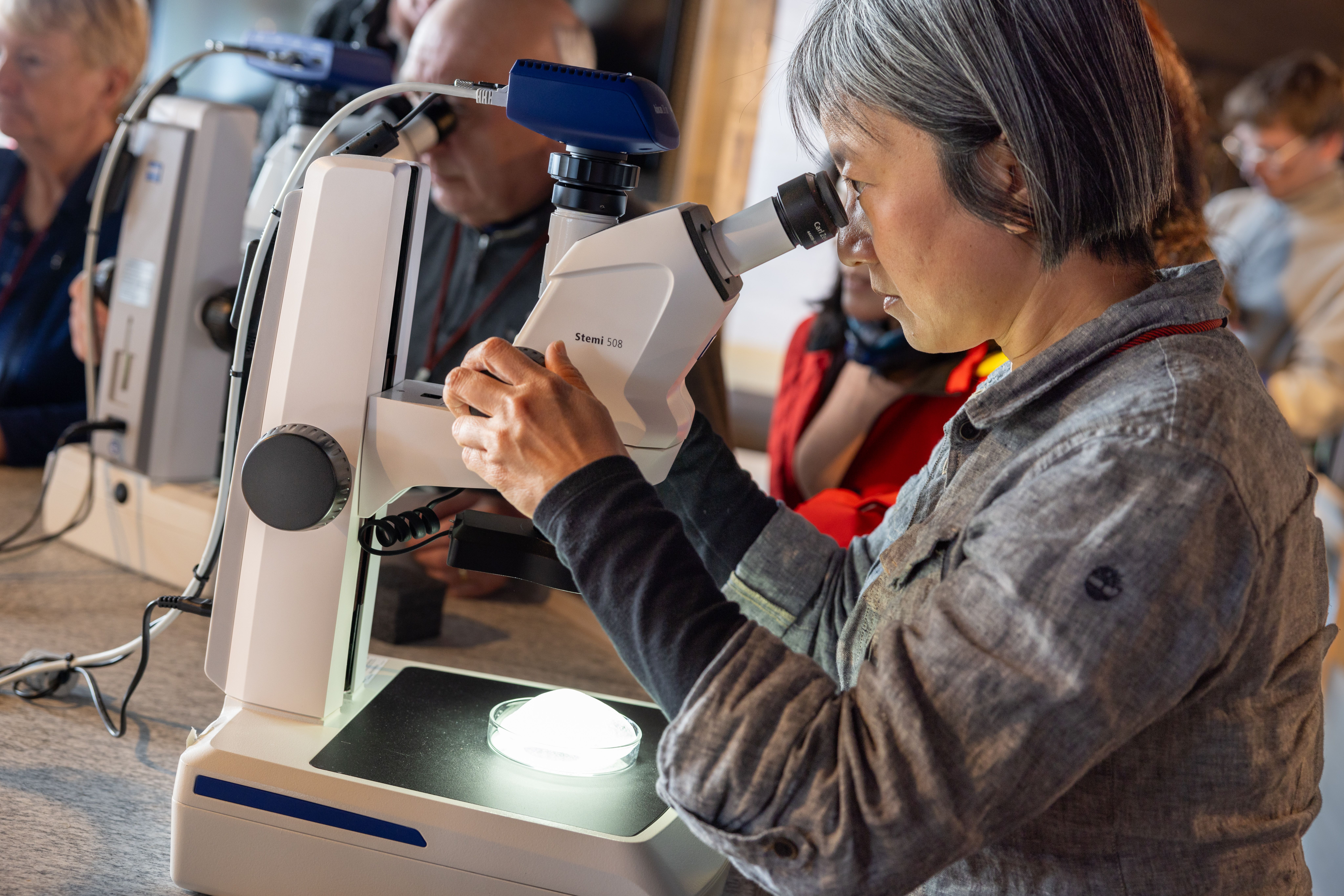 Person looking into a microscope 