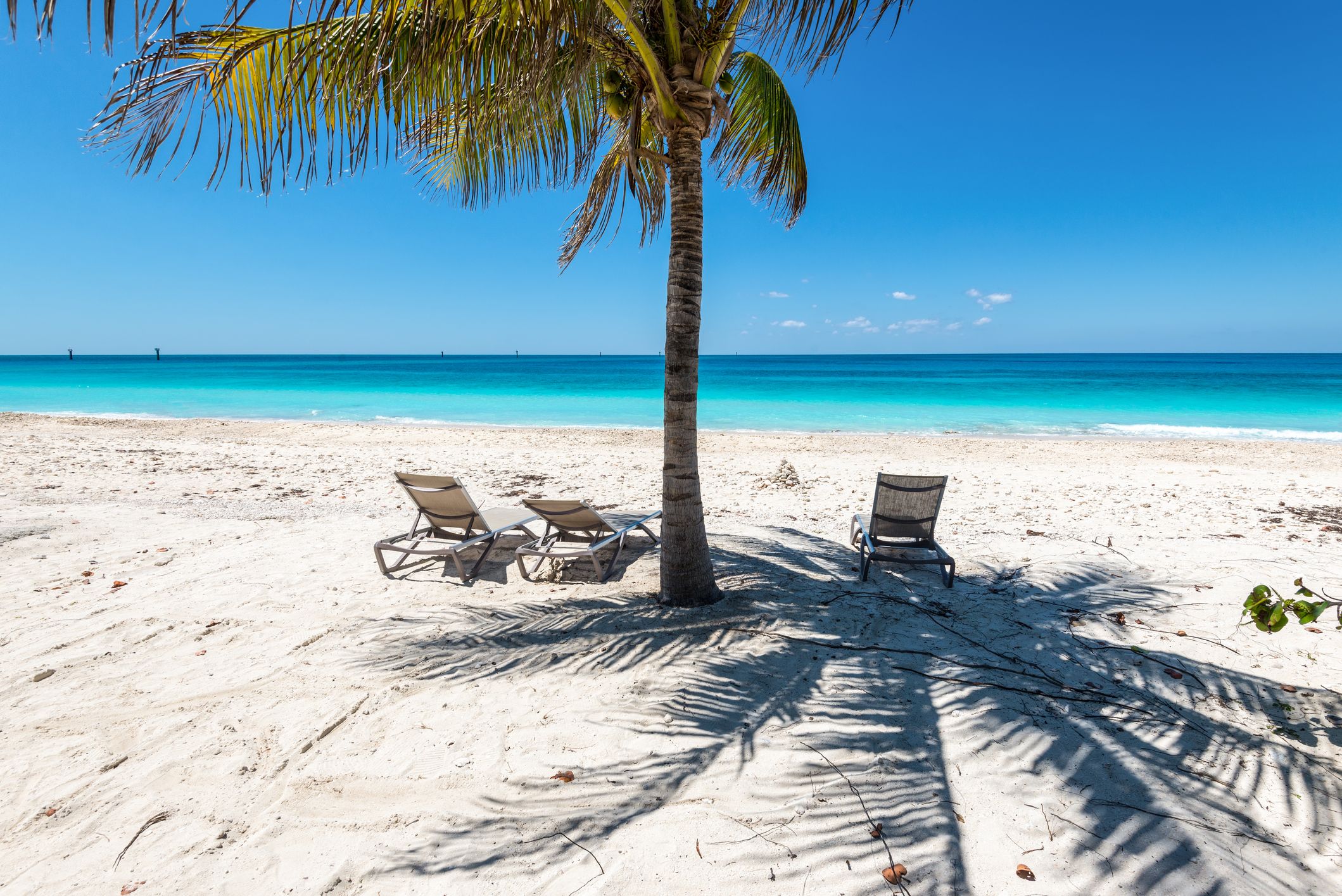 Ocean Cay MSC Marine Reserve
