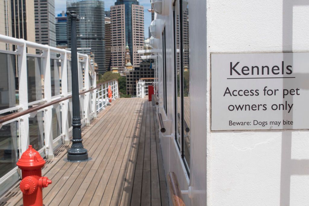 Queen mary 2 kennel