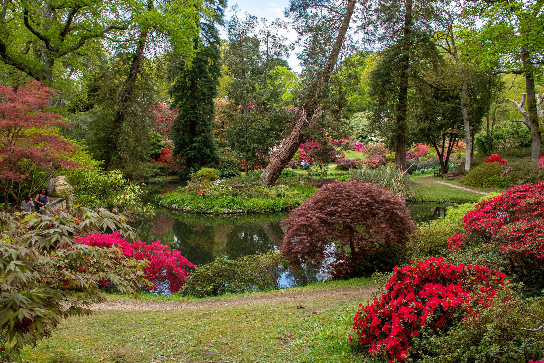 Sir Harold Hillier Gardens Southampton