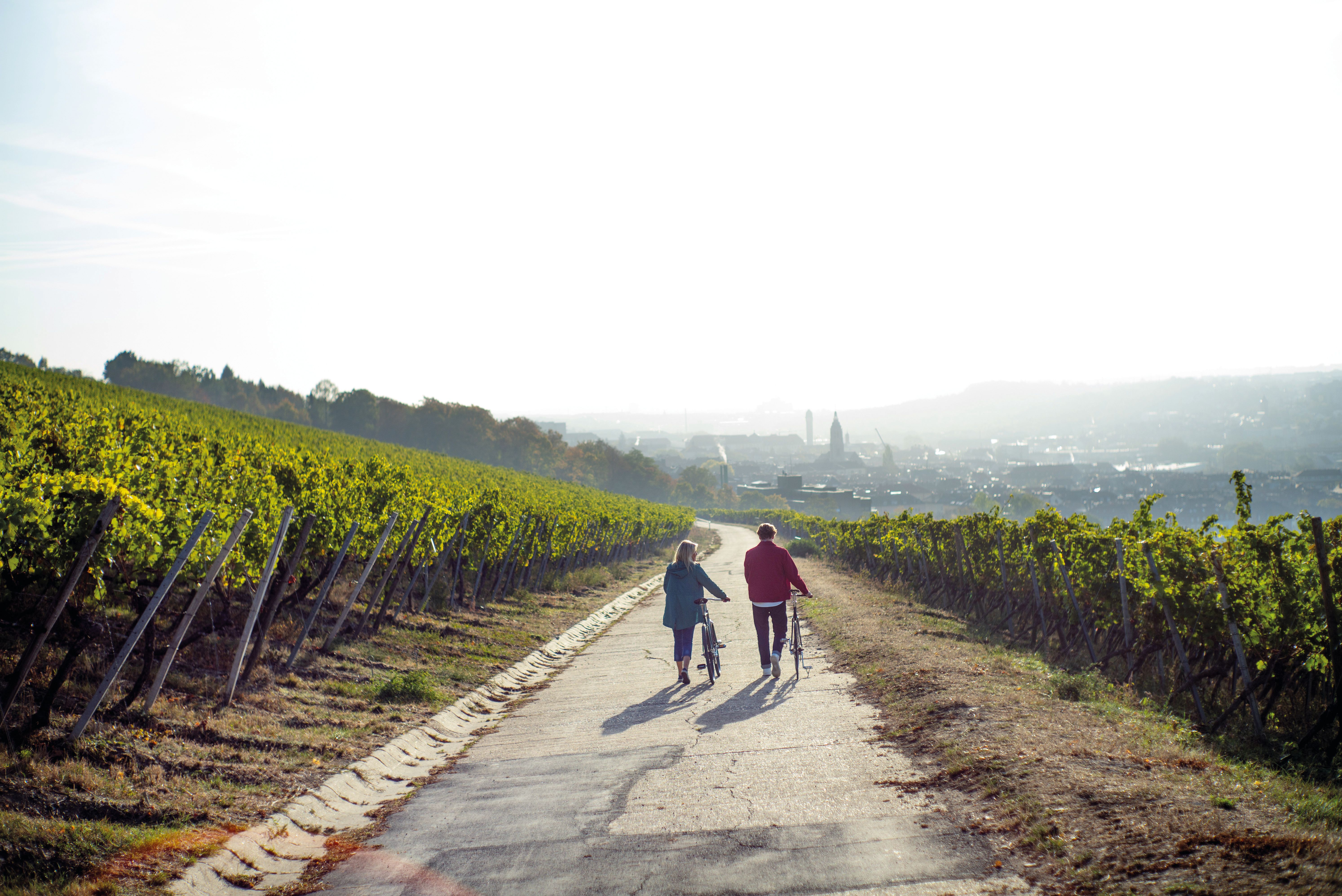a-eu-germany-wurzburg-vineyard-couple-bikes-l1001663-livefully-apt-exp-30-12-2024-edit.jpg