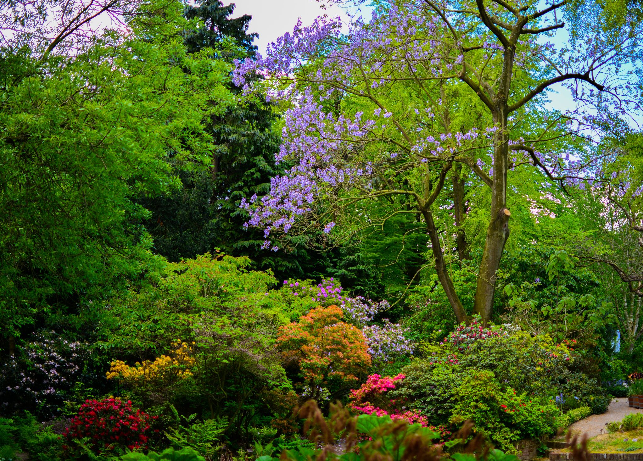 amsterdam hortus botanicus