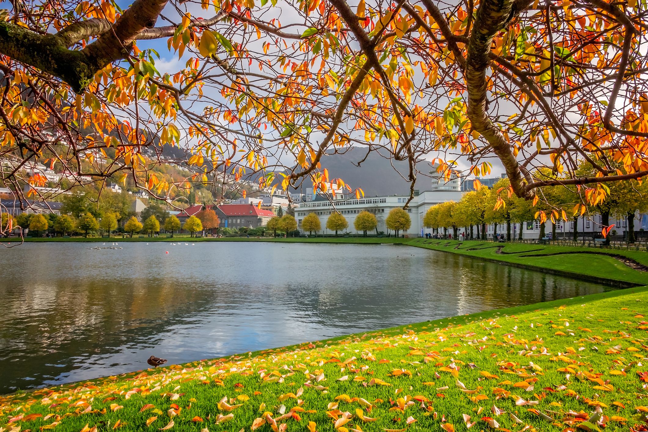 bergen botanical gardens