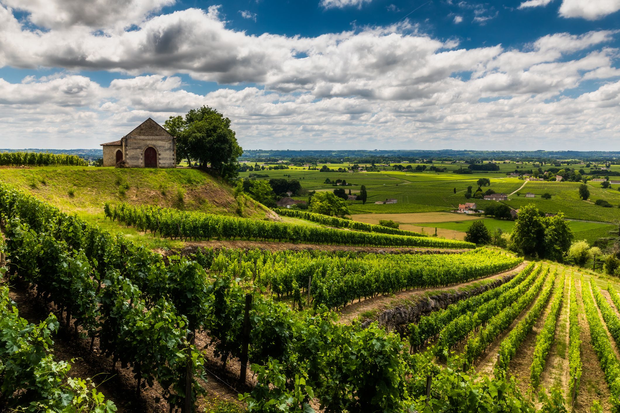 bordeaux winery