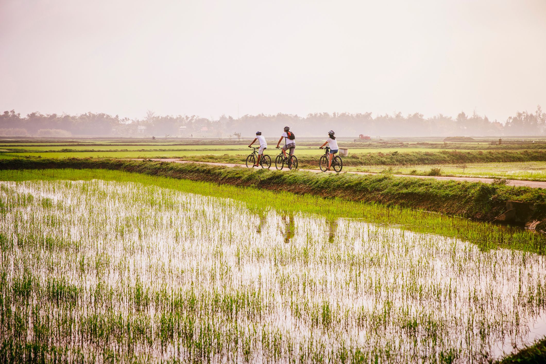 cycling in vietnam