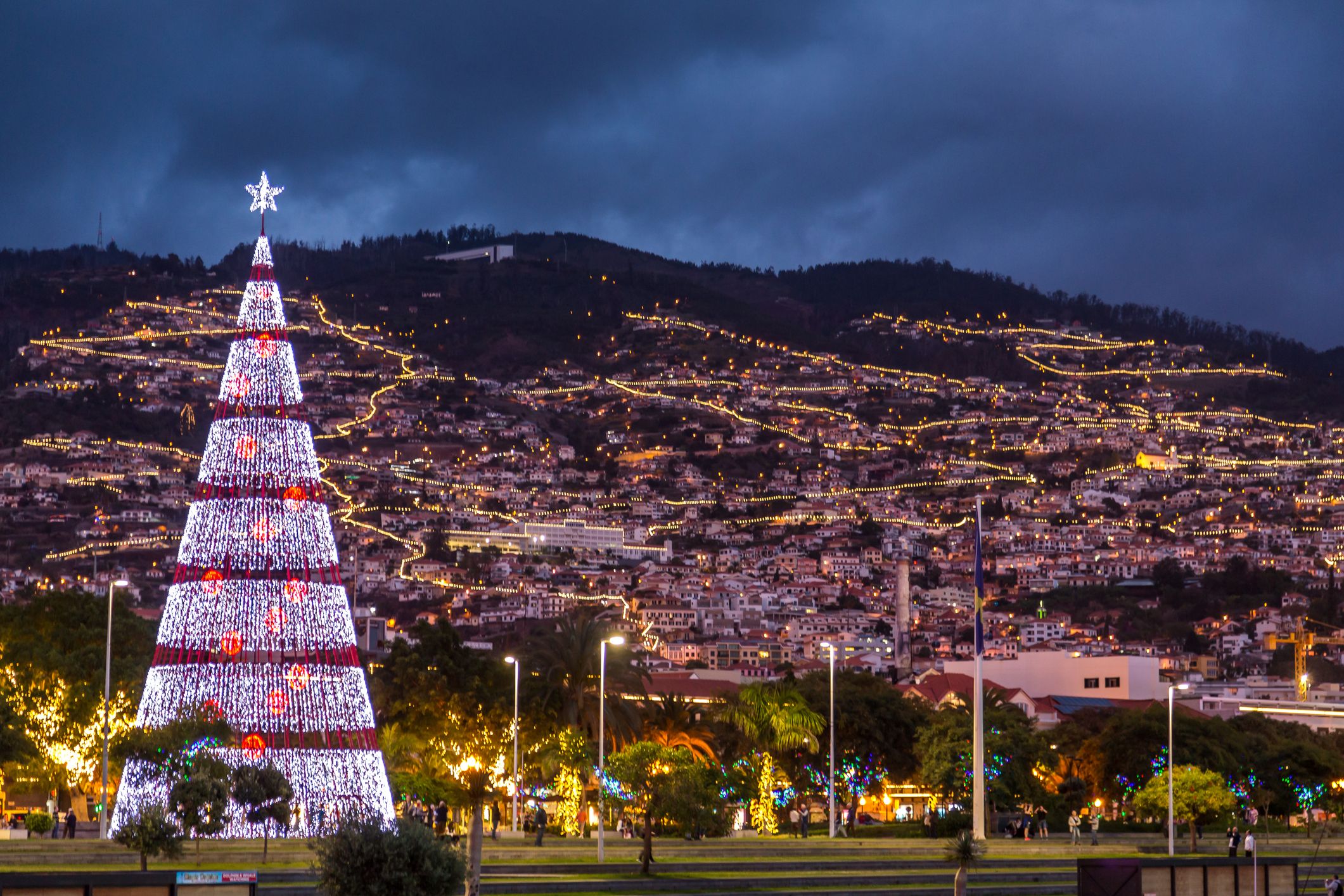 funchal christmas lights