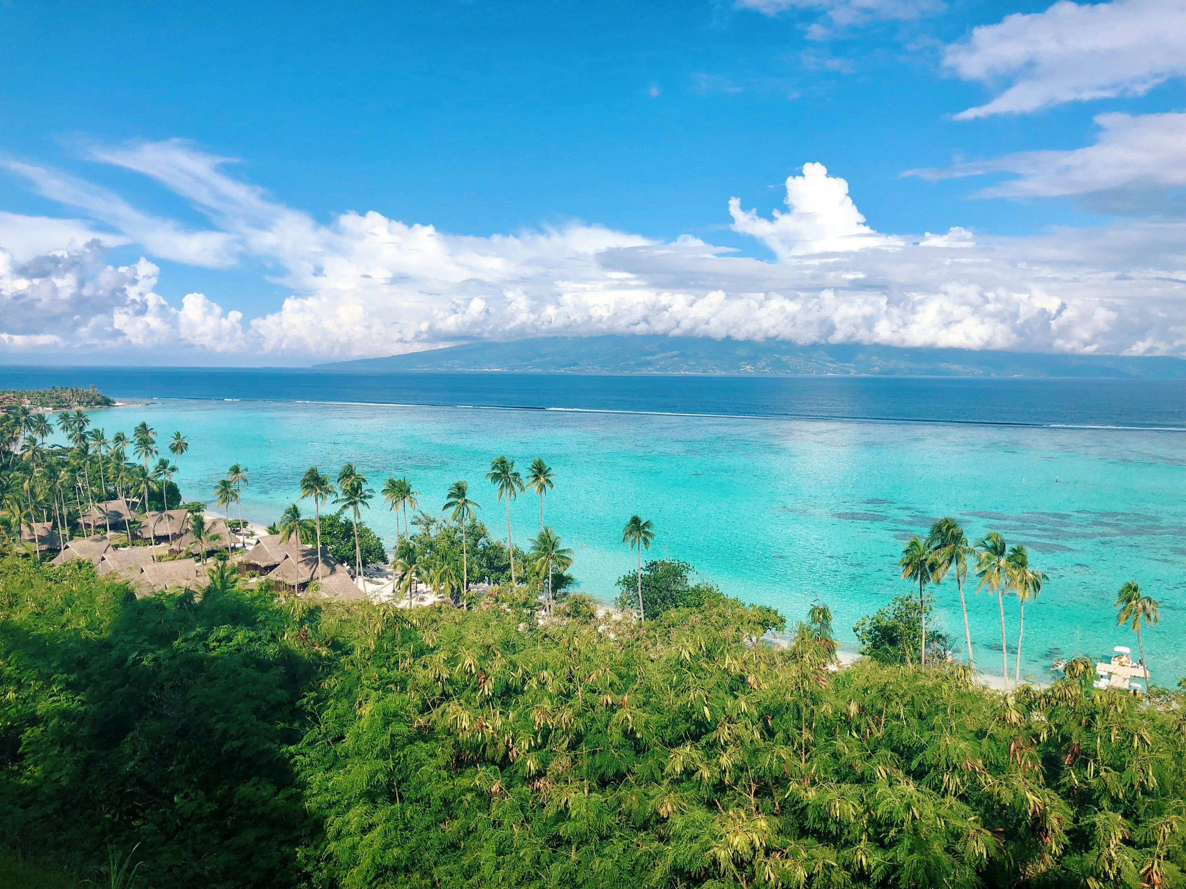 Blue sea, white sands, and palm trees