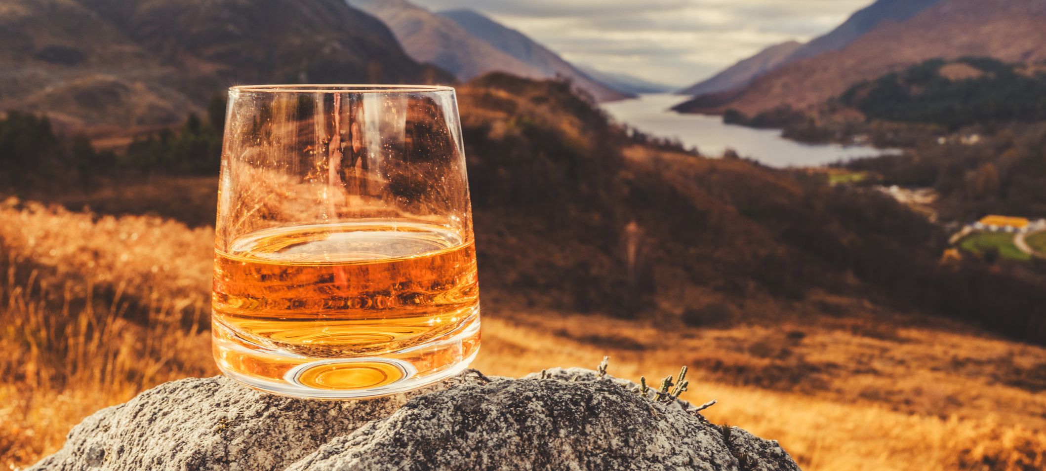 scottish whisky