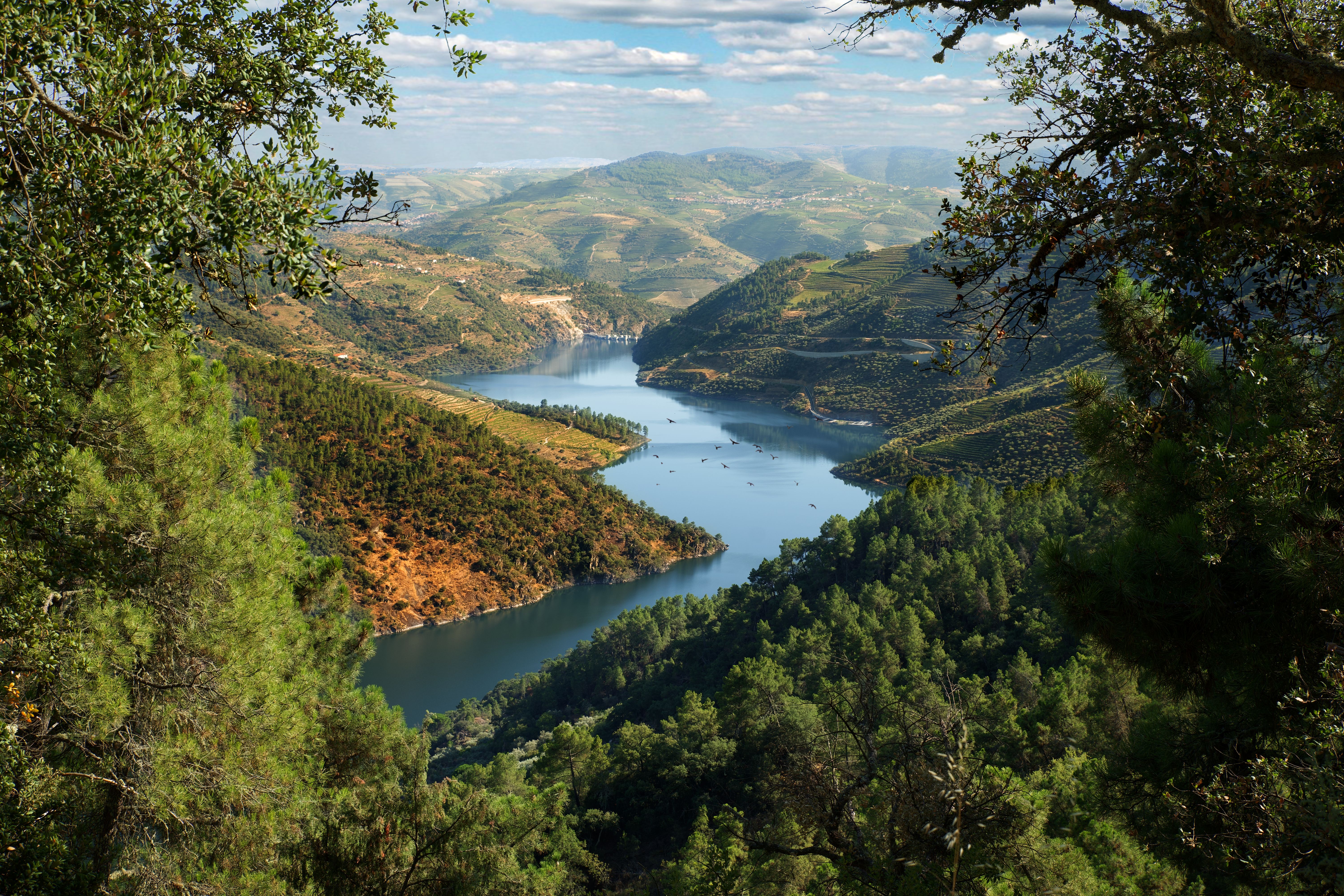 t-eu-portugal-douro-river-1319810547-g-rf.jpg