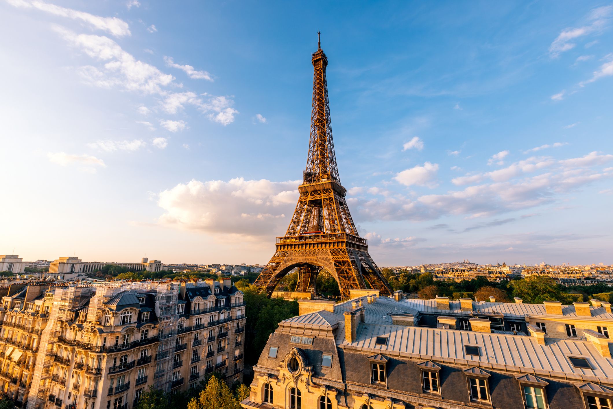 the eiffel tower 