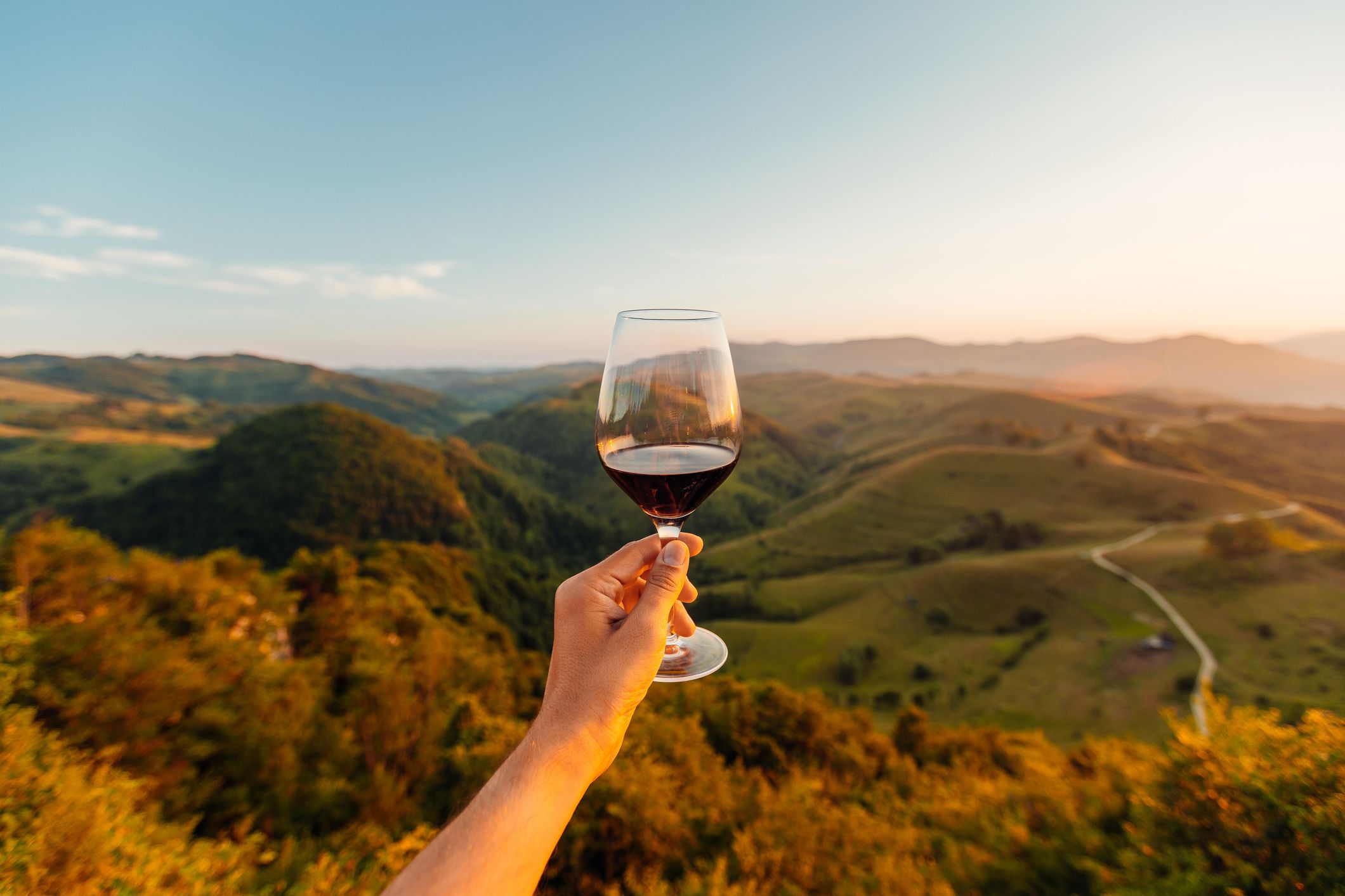 wine in provence